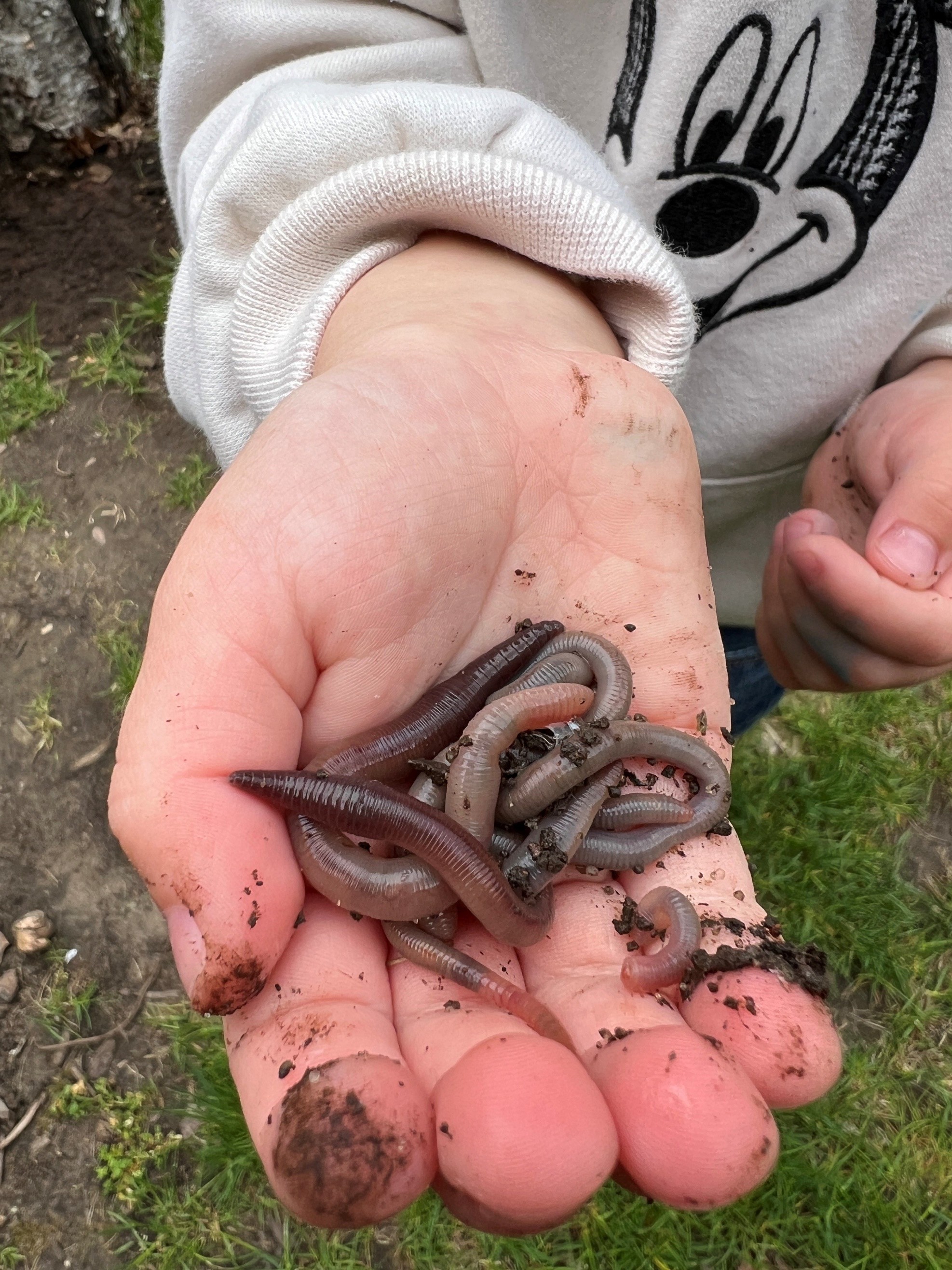  child with handful of worms